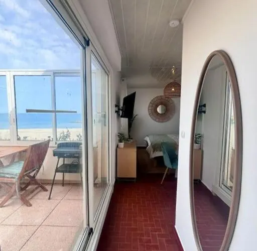 Grand Large Appartement Terrasse Front De Mer Barcares